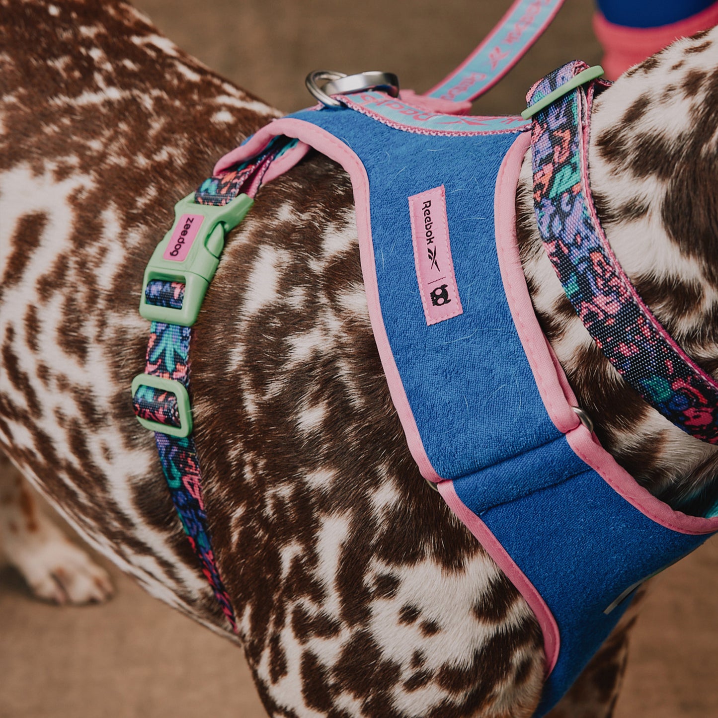 zee.dog Aerobic Adjustable Air Mesh Harness