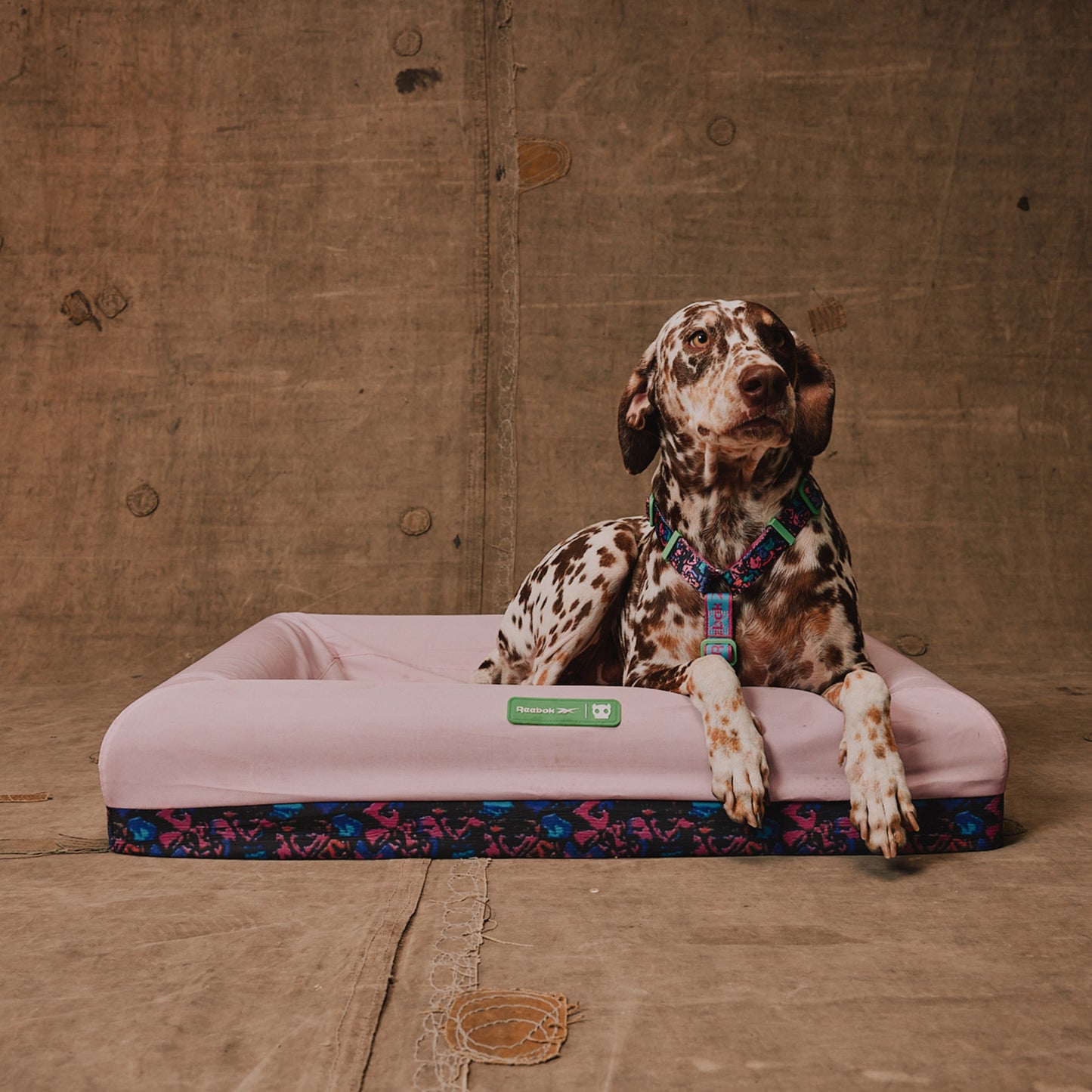 zee.dog Aerobic Zee.Bed