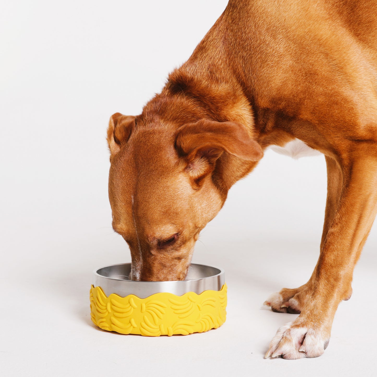 zee.dog x FARM Rio Bossa Banana Tuff Bowl