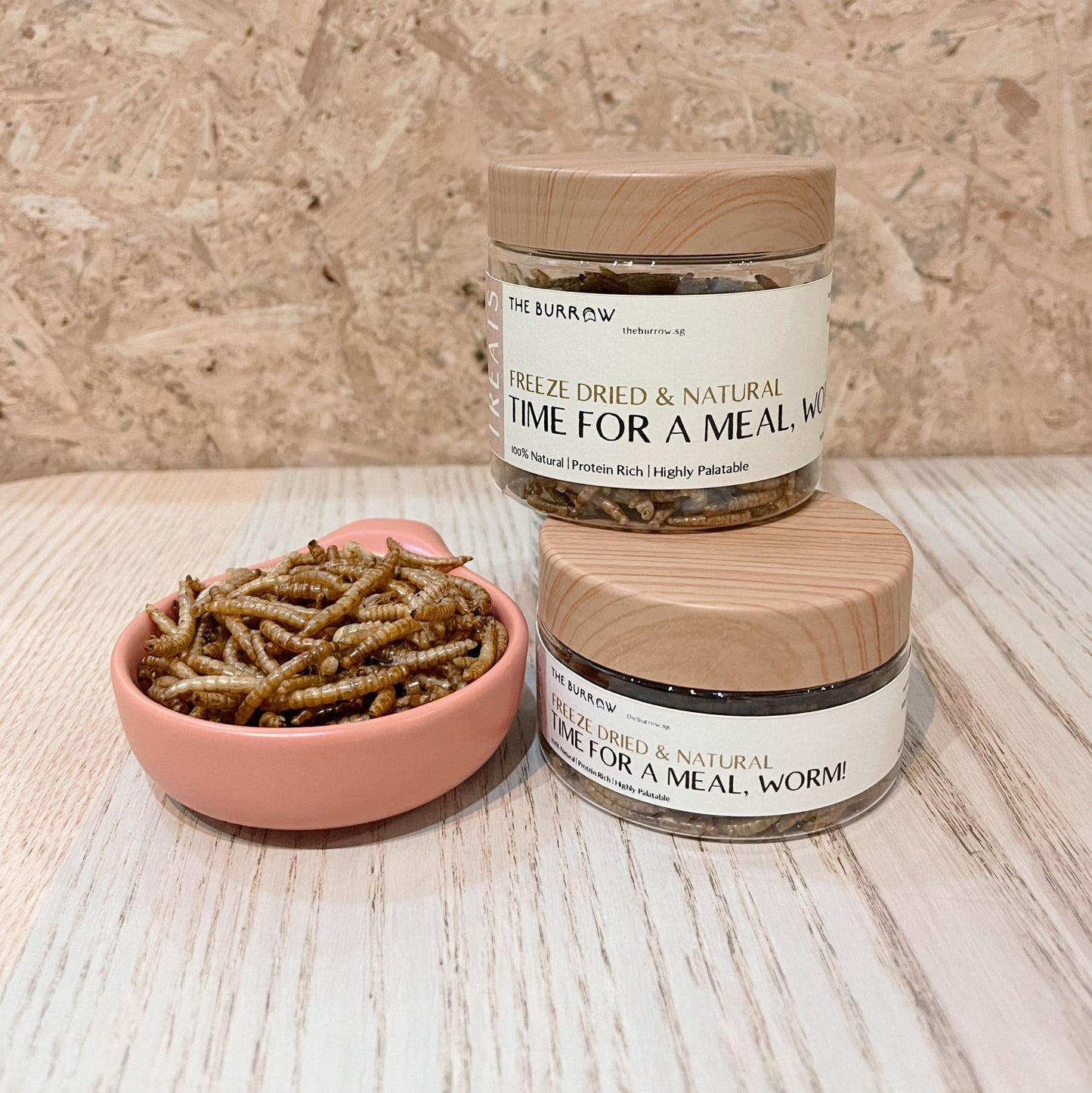 The Burrow Freeze Dried & Natural | Time for a Meal, Worm! (10g)