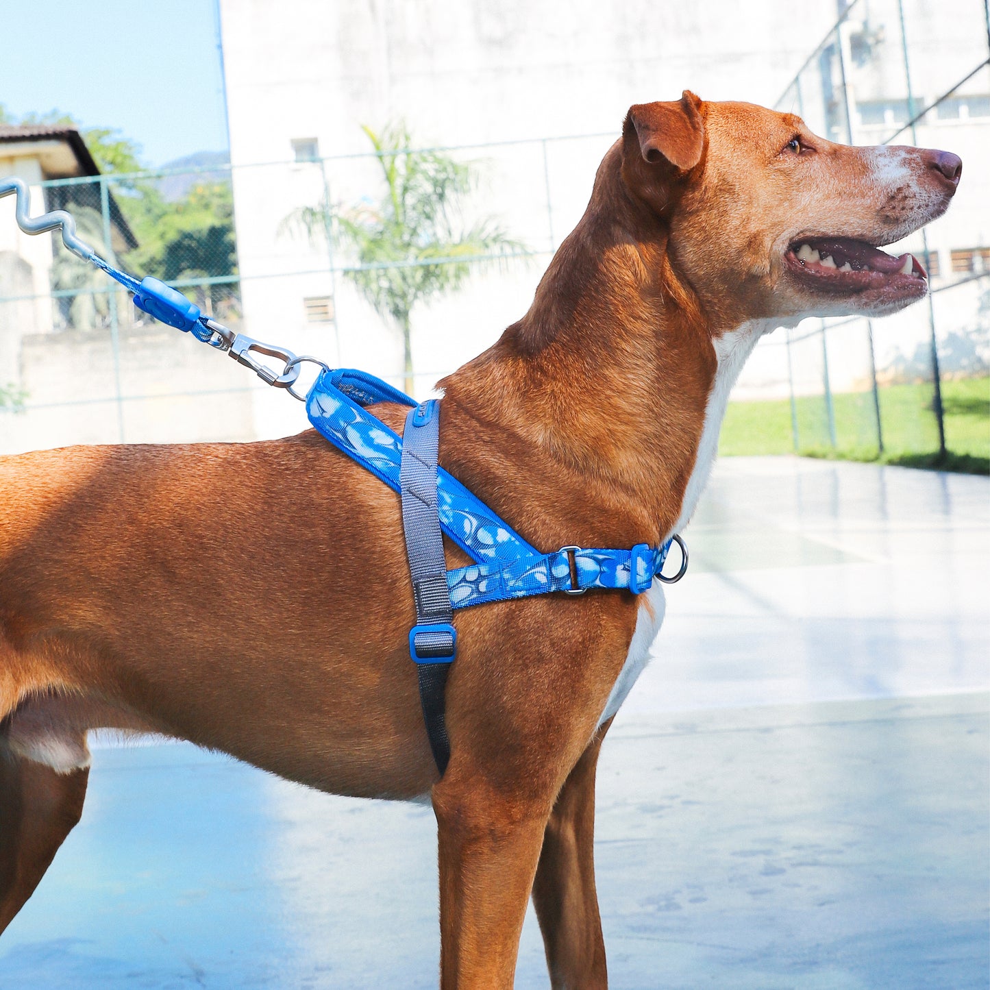 zee.dog H3D Fly Softer Walk Harness