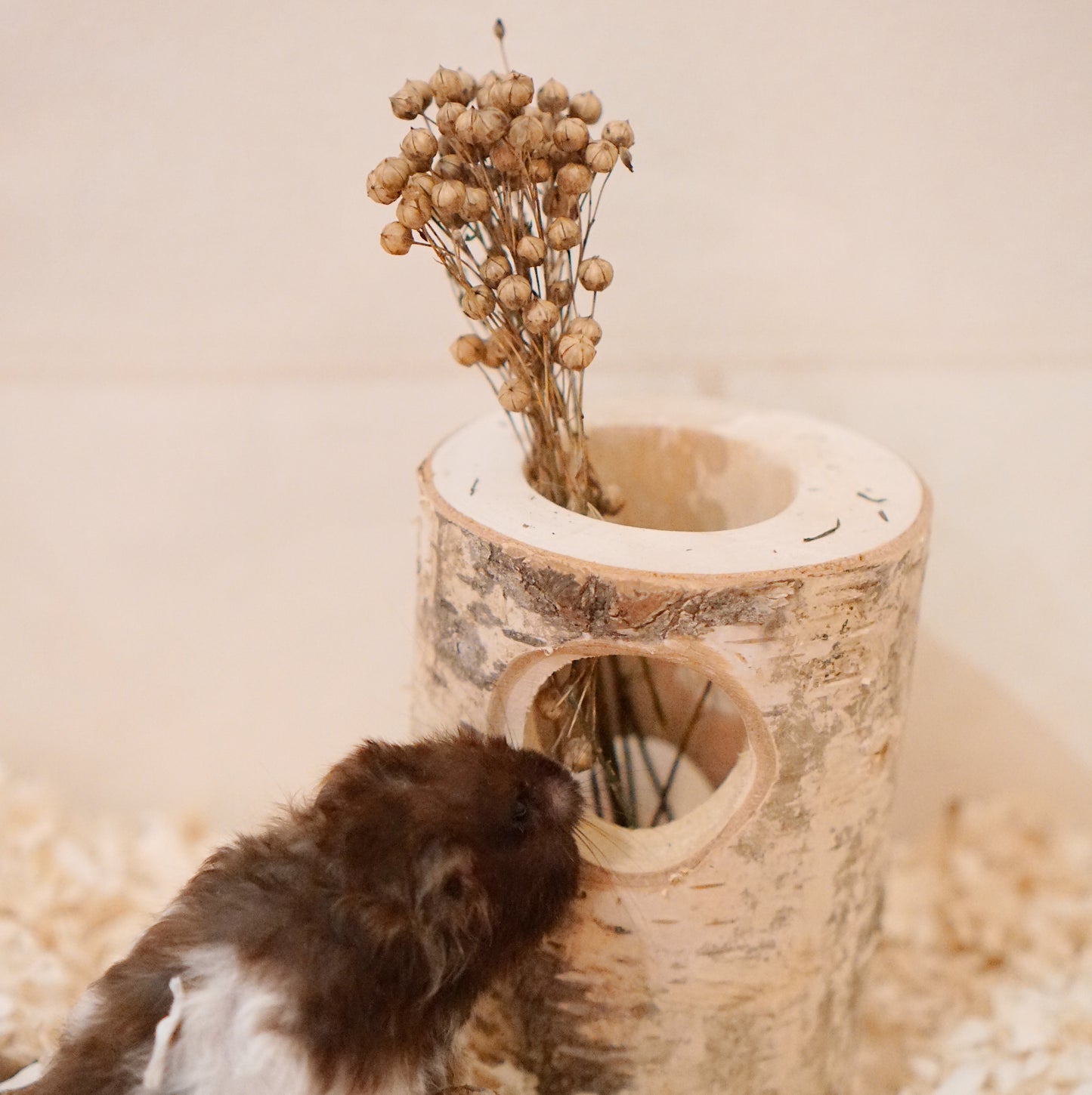 The Burrow German Flax Spray (50g)