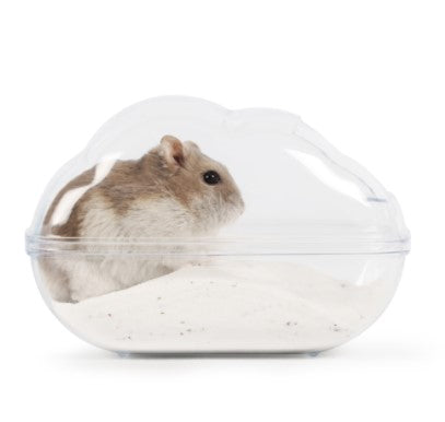 Bucatstate Cloud Toilet for Dwarf | Transparent