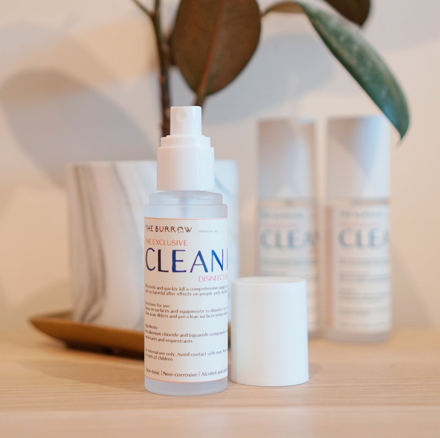 The Burrow Clean It! Disinfectant Spray