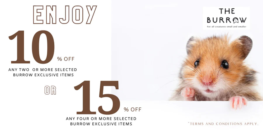 The Burrow Promotion