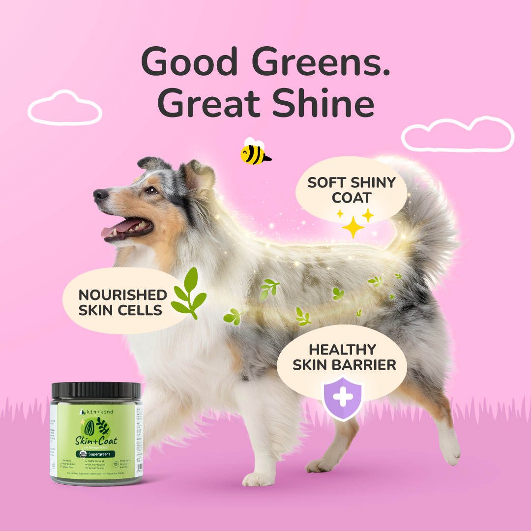 kin+kind Healthy Skin+Coat Supplement