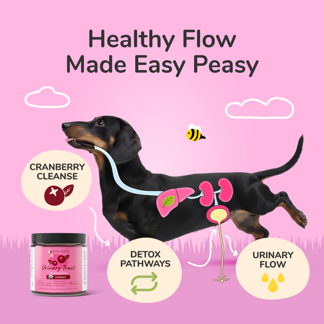 kin+kind Urinary Tract Supplement (previously Healthy Immunity Supplement)