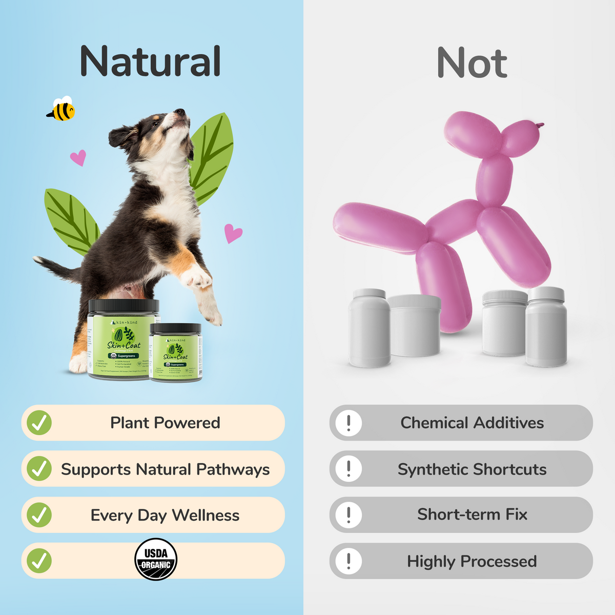 kin+kind Healthy Skin+Coat Supplement
