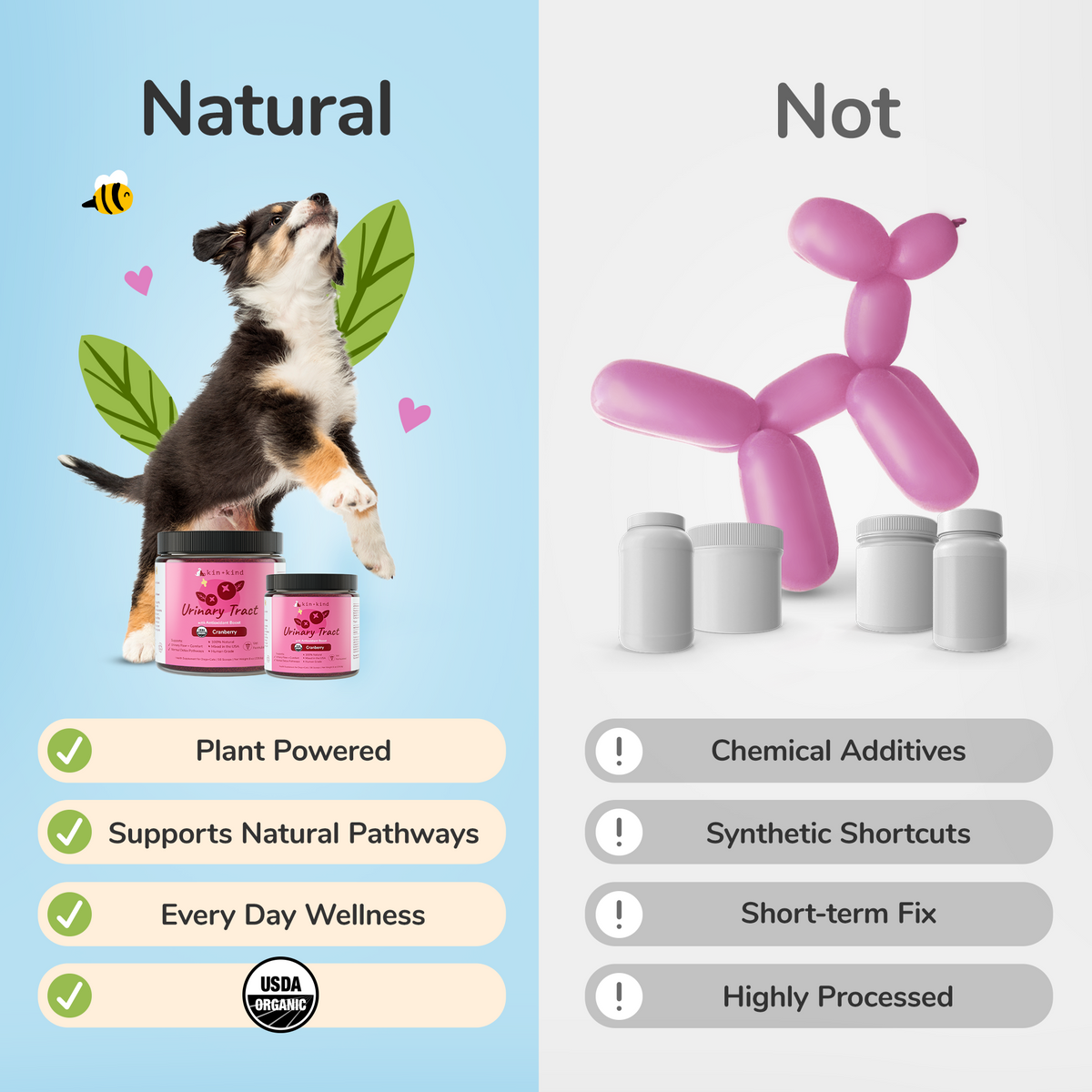 kin+kind Urinary Tract Supplement (previously Healthy Immunity Supplement)