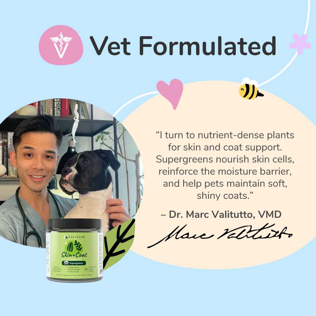 kin+kind Healthy Skin+Coat Supplement