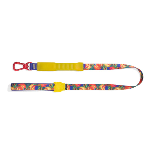 zee.dog x FARM Rio Samba Air Leash
