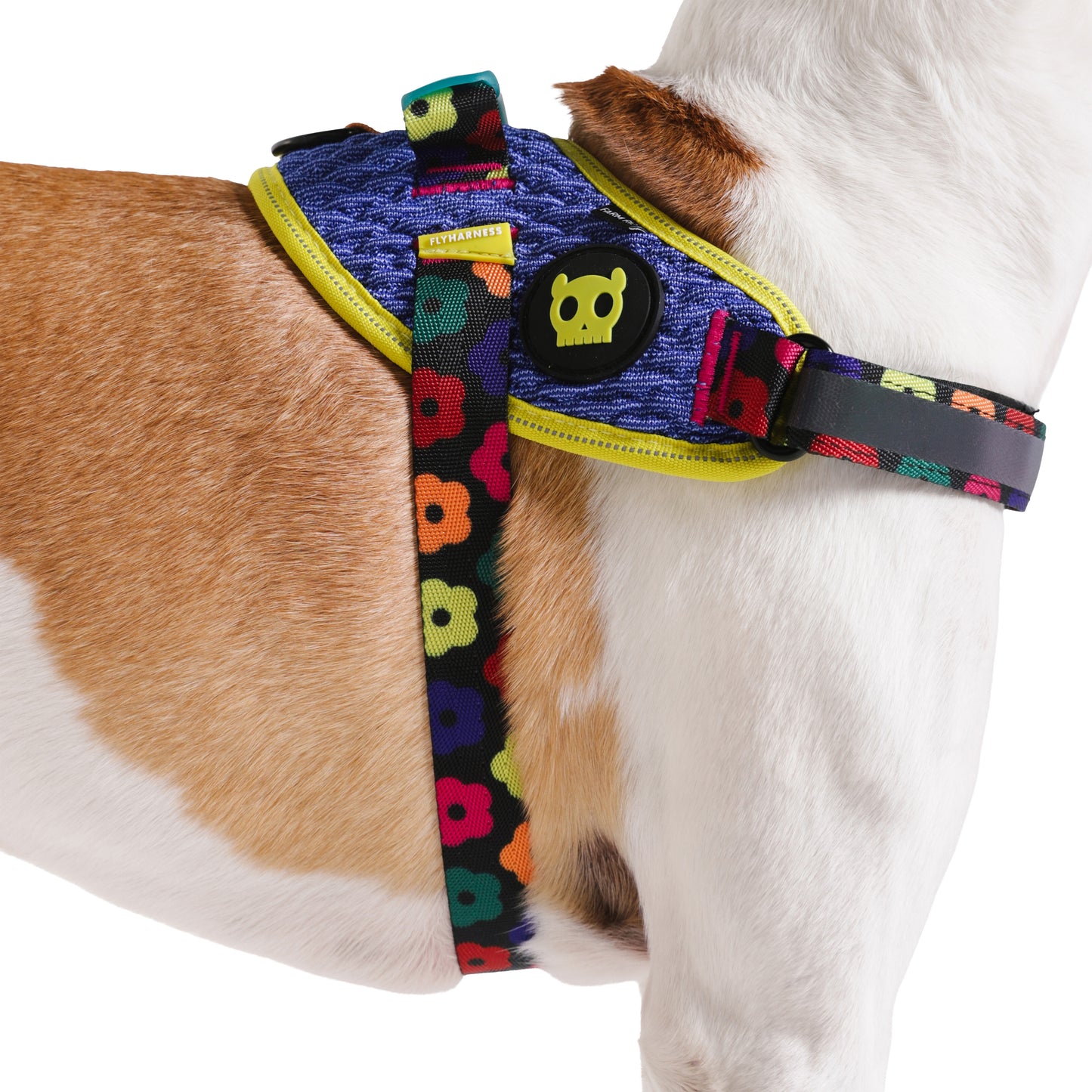 zee.dog x FARM Rio Samba FlyHarness