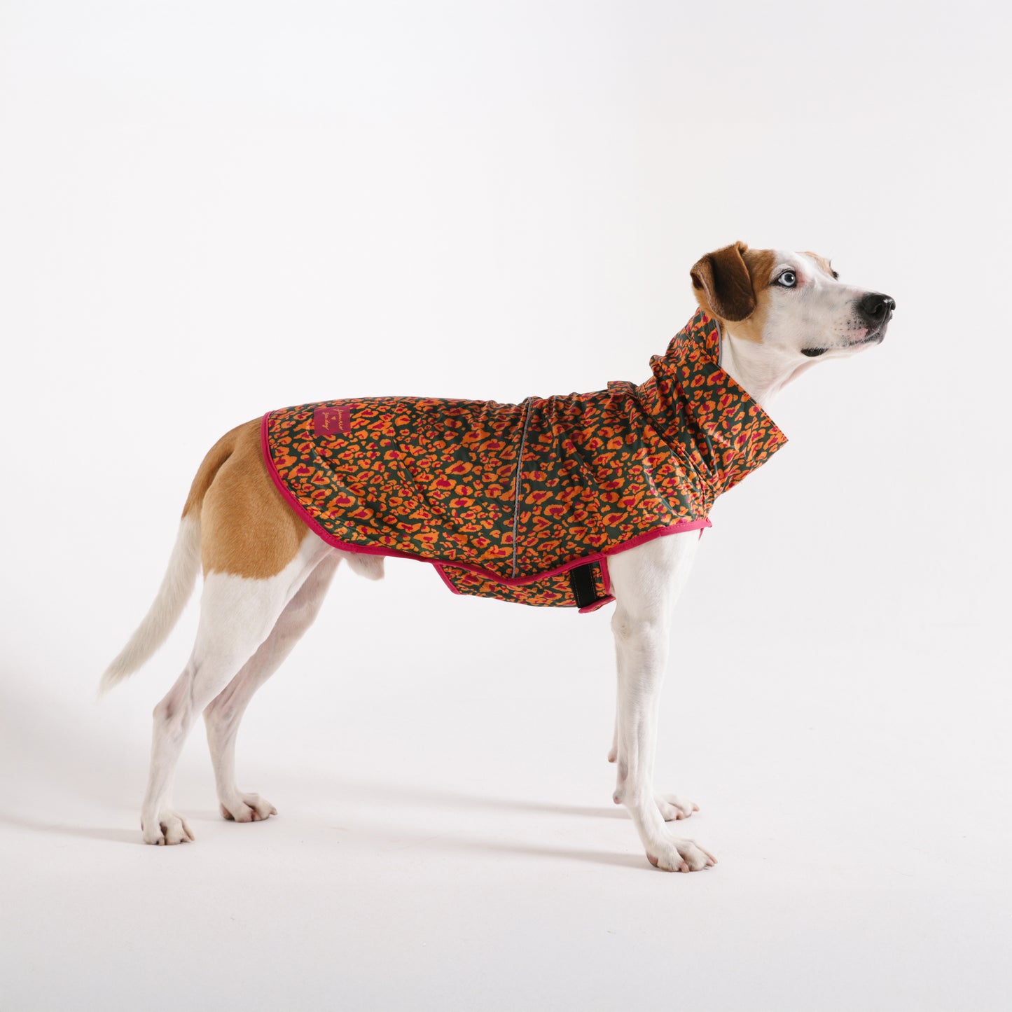 zee.dog x FARM Rio Selva Raincoat