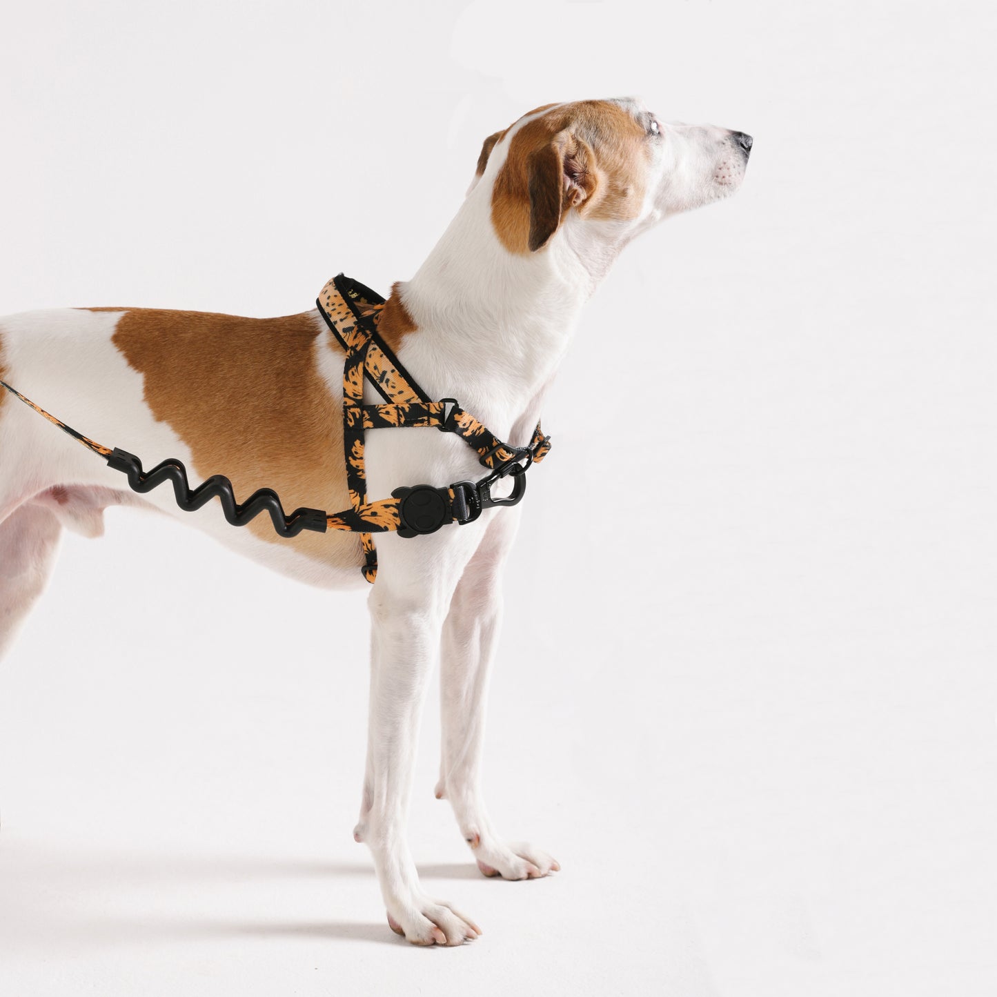 zee.dog x FARM Rio Bossa Banana Softer Walk Harness