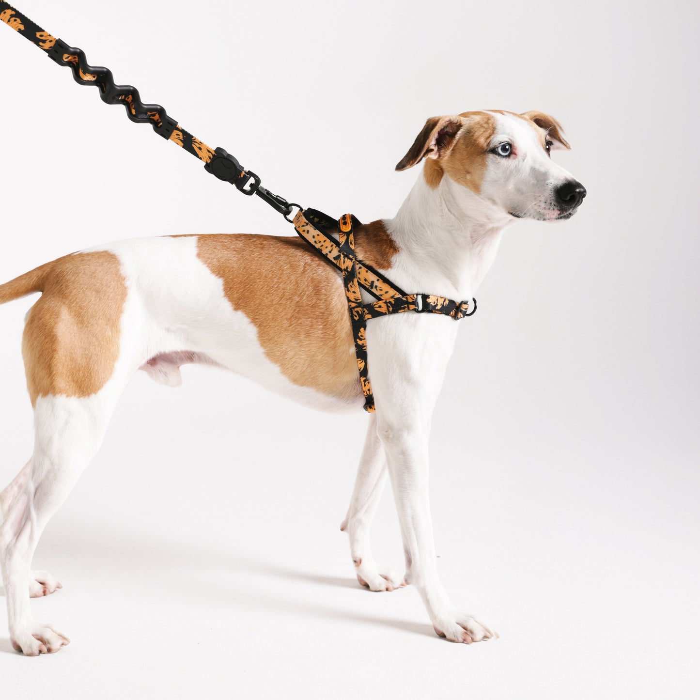zee.dog x FARM Rio Bossa Banana Softer Walk Harness