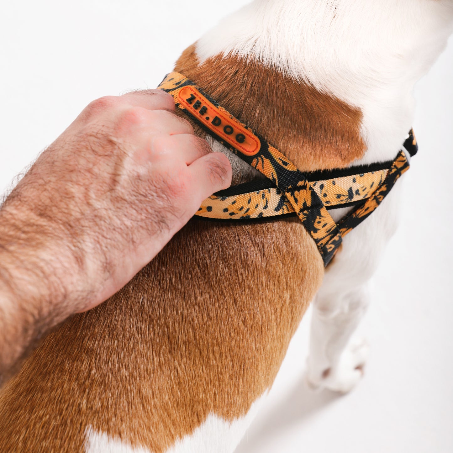 zee.dog x FARM Rio Bossa Banana Softer Walk Harness