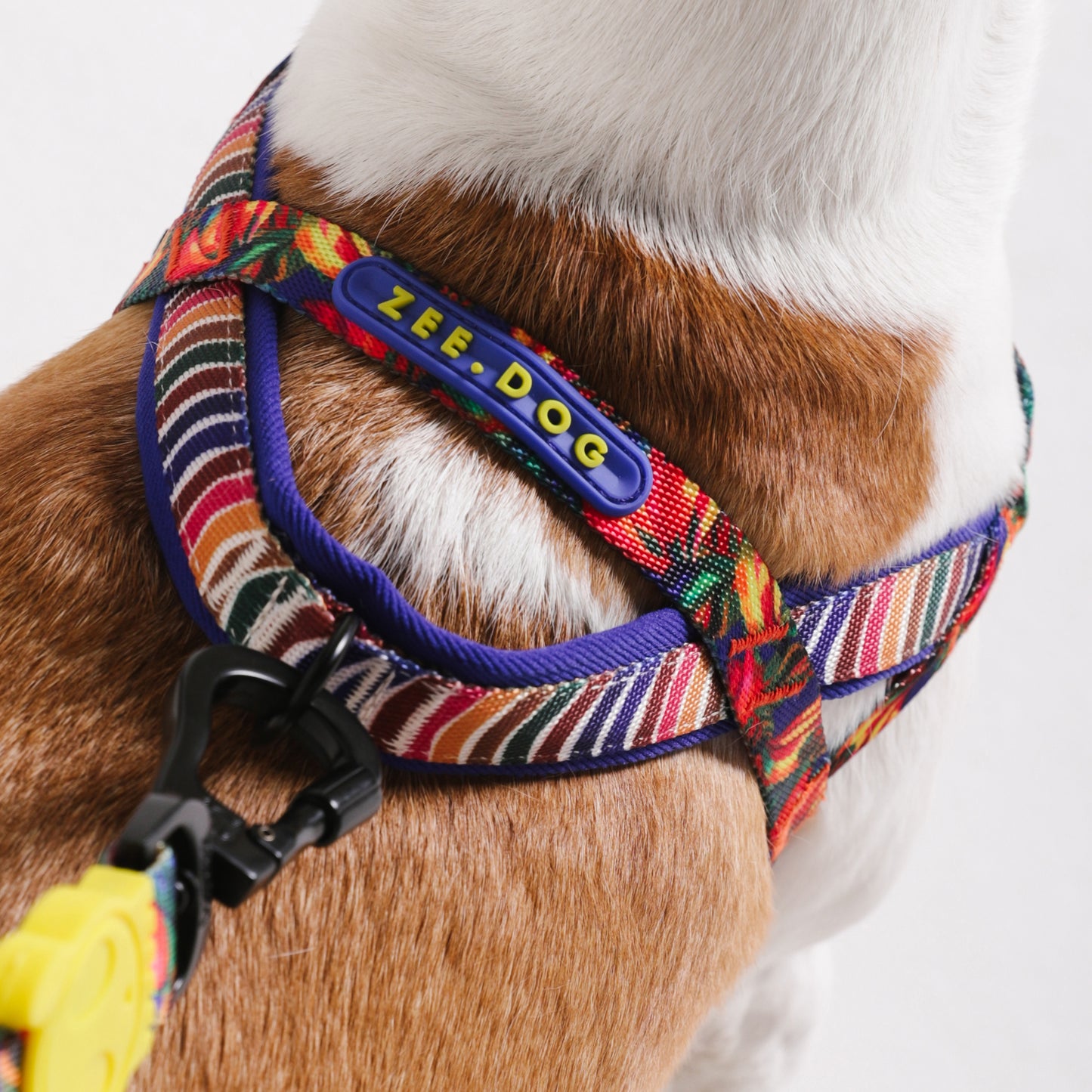 zee.dog x FARM Rio Samba Softer Walk Harness
