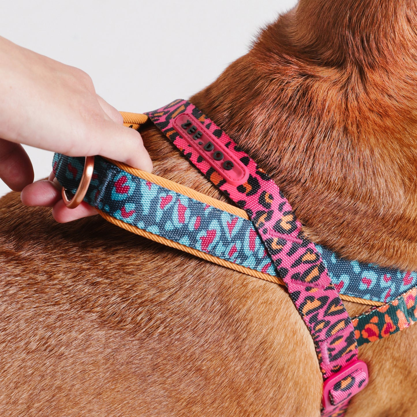 zee.dog x FARM Rio Selva Softer Walk Harness
