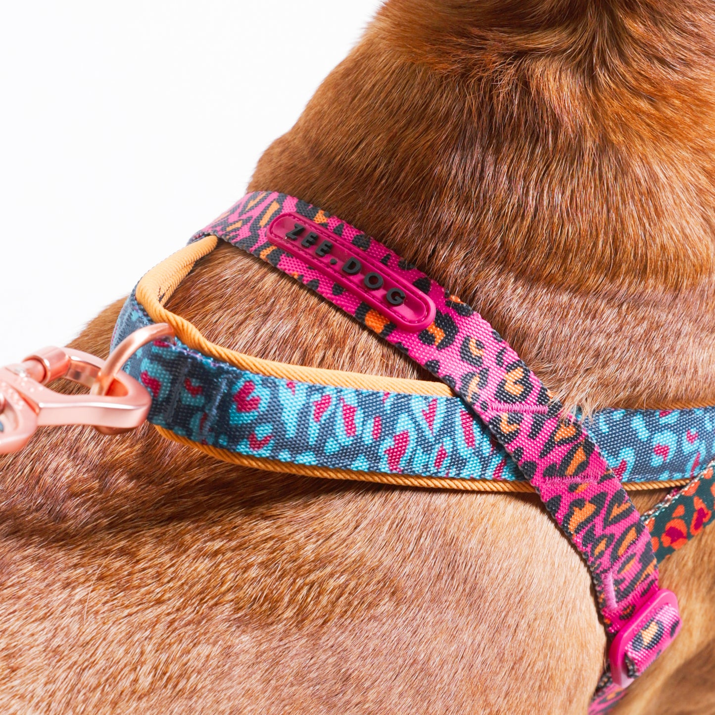 zee.dog x FARM Rio Selva Softer Walk Harness