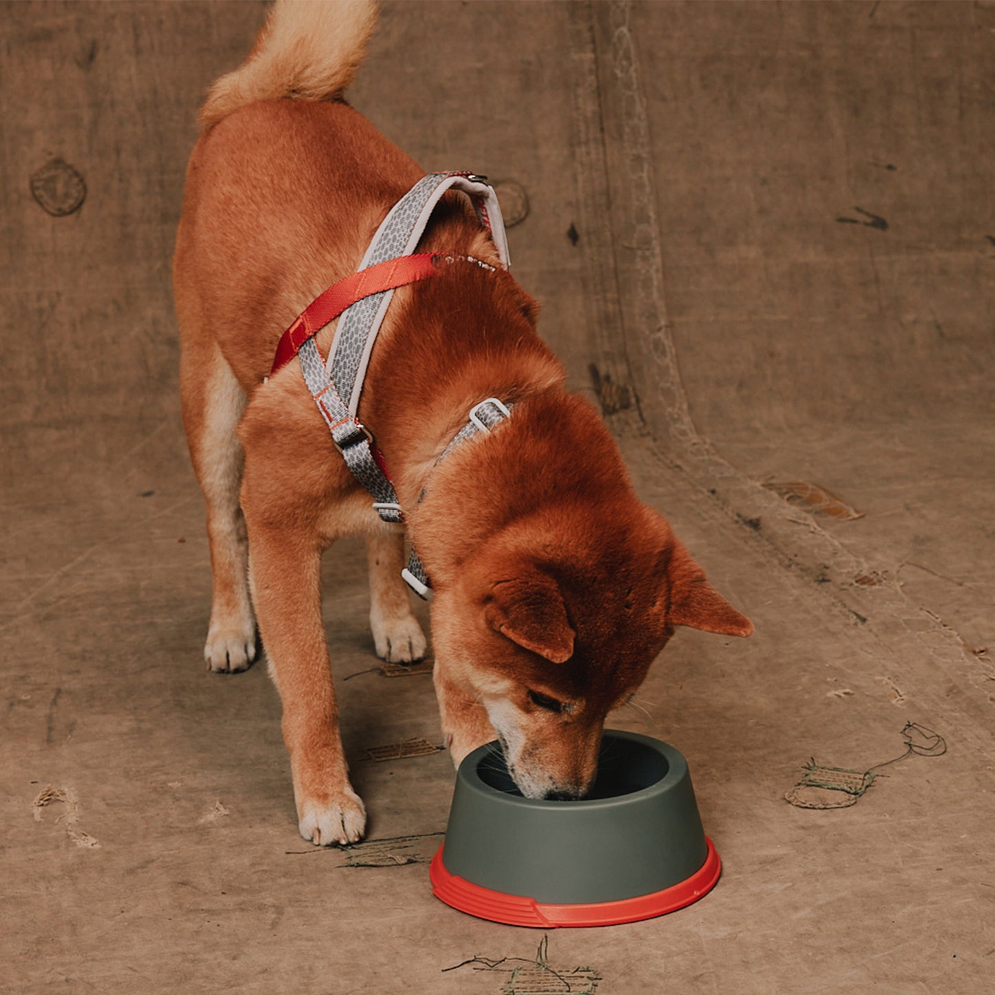 zee.dog Suede Melamine Bowl Small