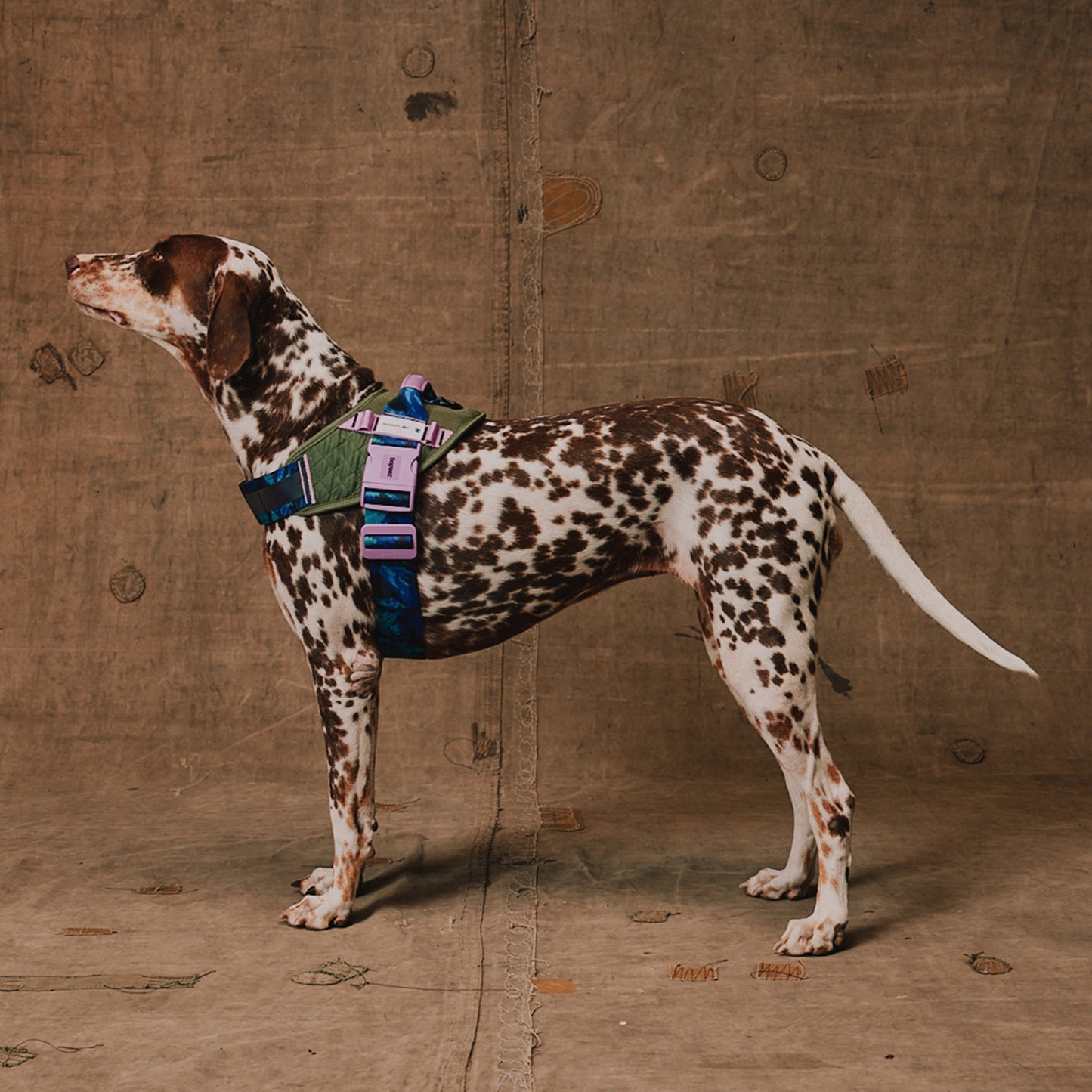 zee.dog Trekk Flyharness