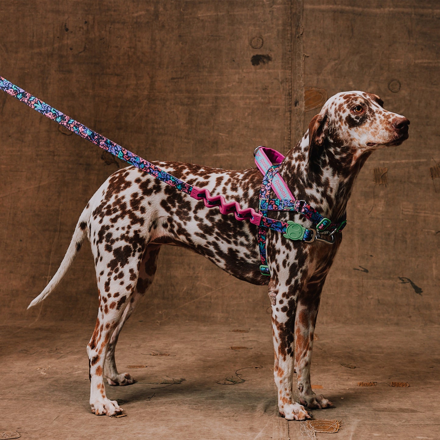 zee.dog Aerobic Softer Walk