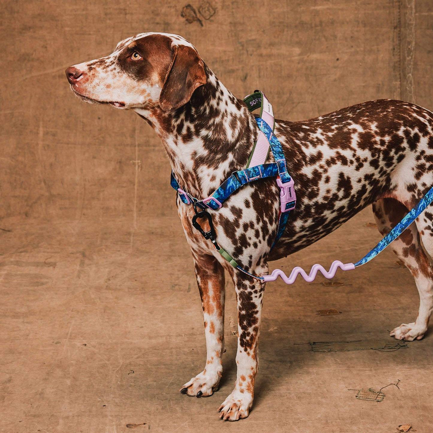 zee.dog Trekk Softer Walk Harness