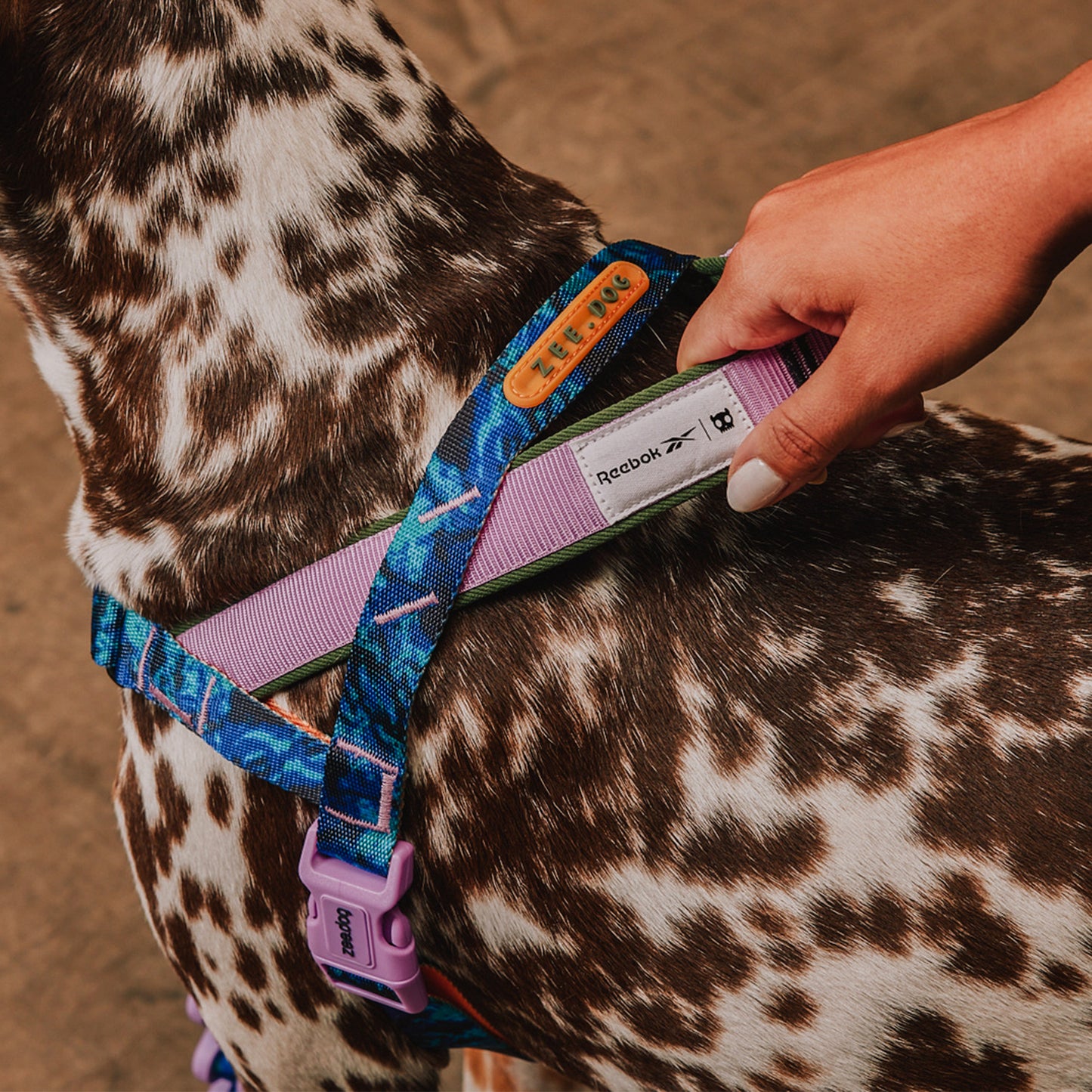 zee.dog Trekk Softer Walk Harness