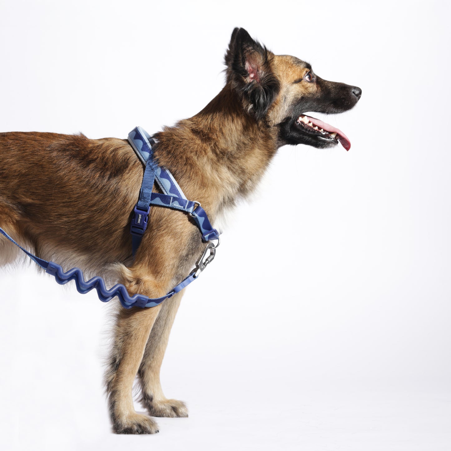 zee.dog Swell Softer Walk Harness