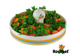 Rodipet ZooDi Glazed Ceramic Bowl for Fresh Veggies