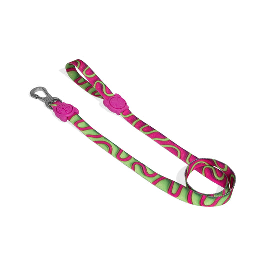 zee.dog H3D Jelly Leash