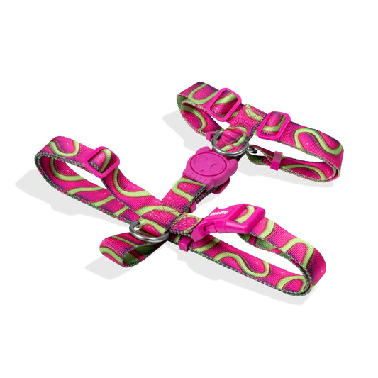 zee.dog H3D Jelly H-Harness