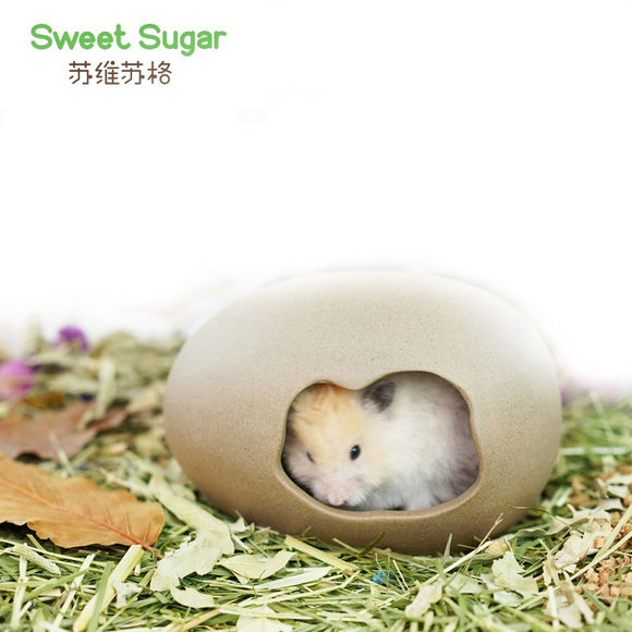 Sweet Sugar Dino Egg