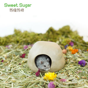 Sweet Sugar Pebble Hideout | S