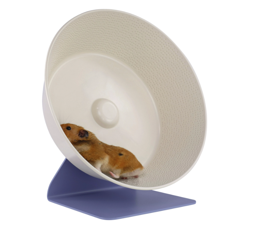 Heureka! Marathon Wheel | Ivorice