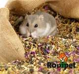 Rodipet Organic Dwarf Hamster Food "VARiETY'' (500g)