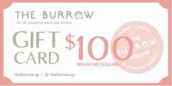 The Burrow Gift Card $100