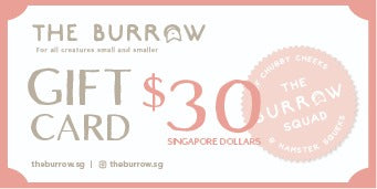 The Burrow Gift Card $30