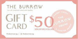 The Burrow Gift Card $50